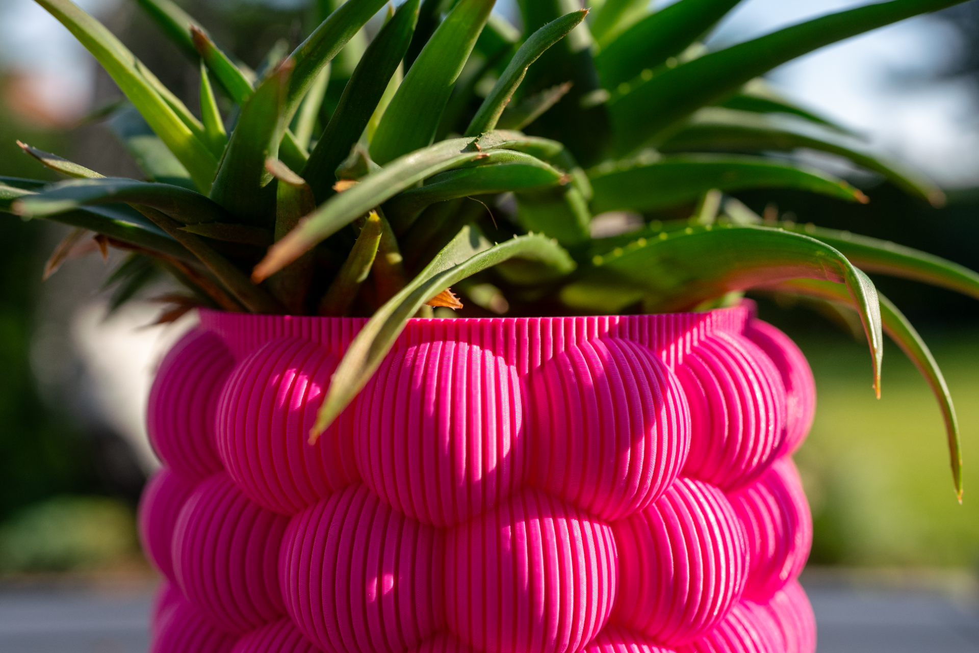 Bubbly vase