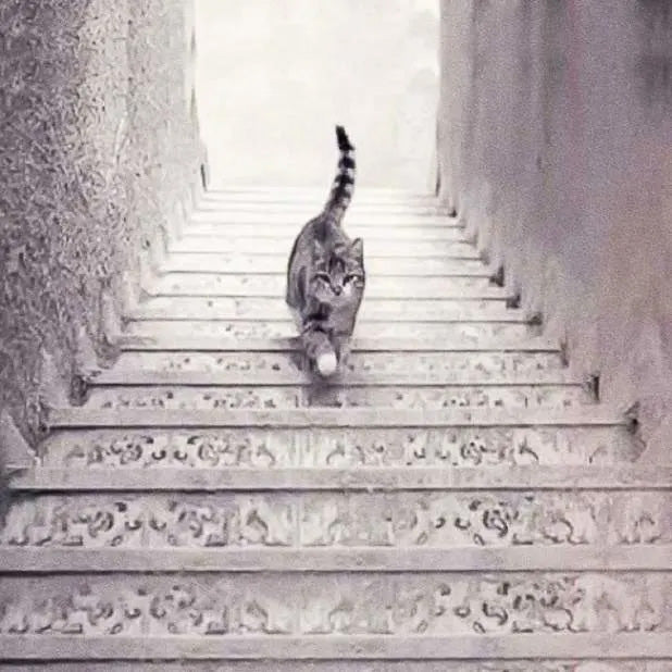 Cat on Stairs Illusion Lithophane