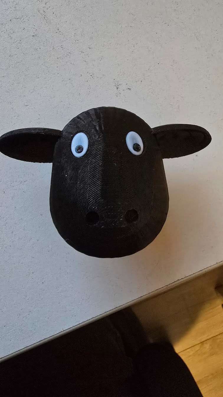 Googley eyes for toilet sheep