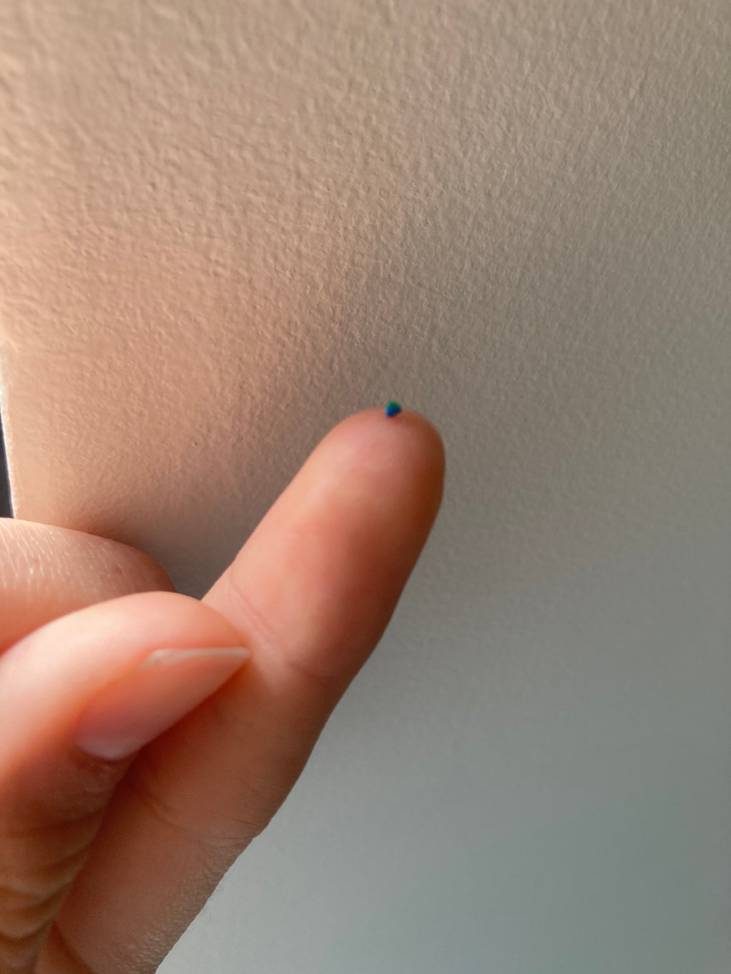 World's Smallest 3D Print