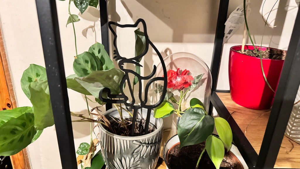 Plant trellis, support, Cat theme