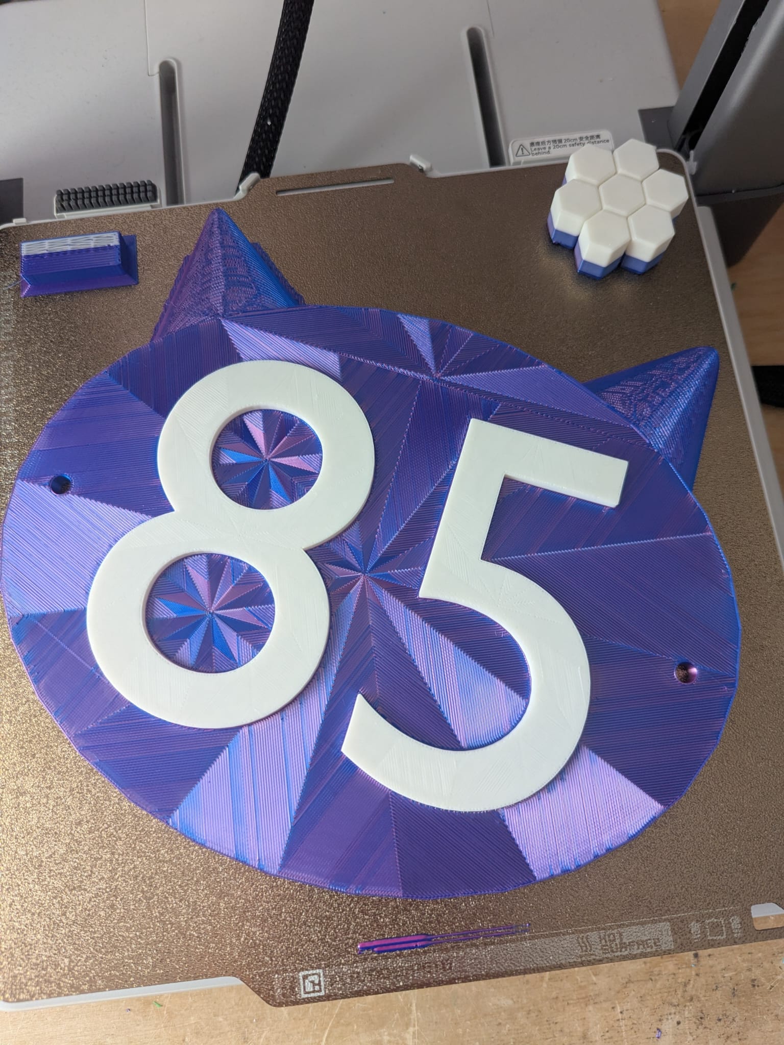 House Sign for number 85 on a cat
