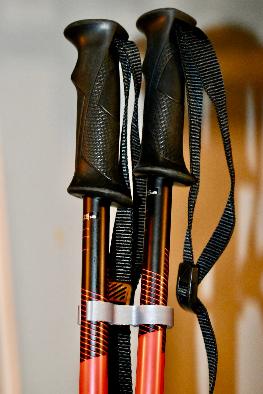 Ski Poles Clip