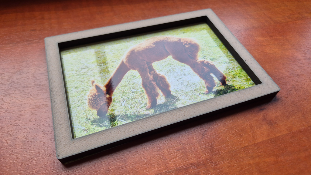 Bi-color Photo Frame for 10*15cm photos