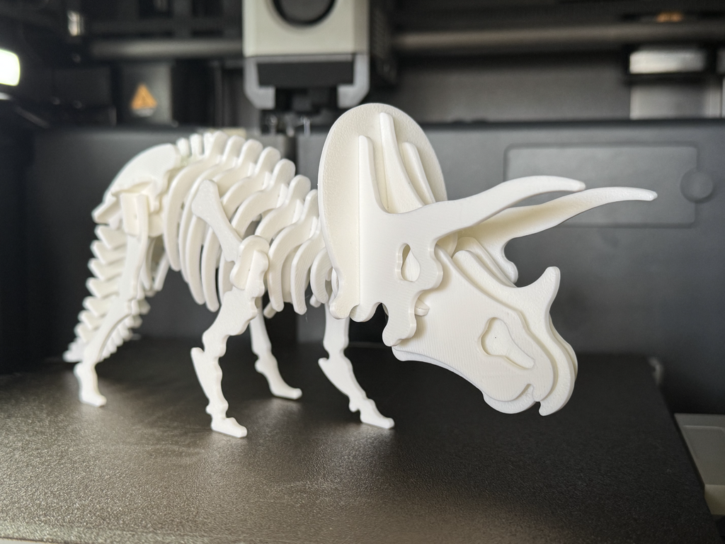 Triceratops Dinosaur Skeleton Puzzle