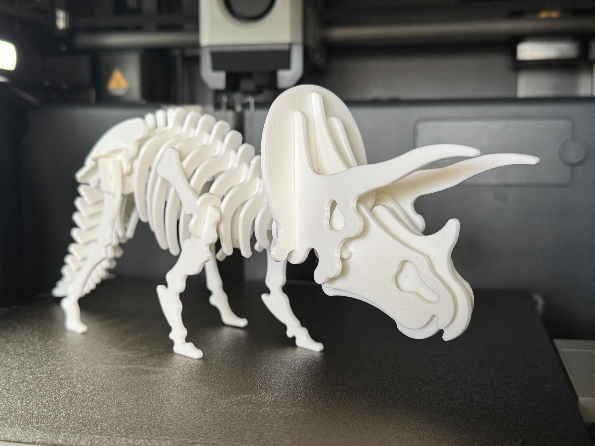 Triceratops Dinosaur Skeleton Puzzle