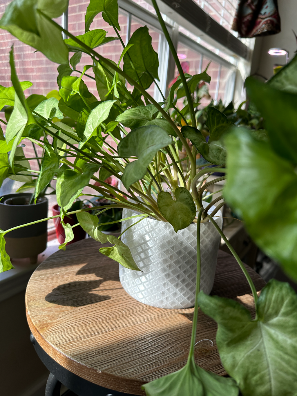 Planter with crossing