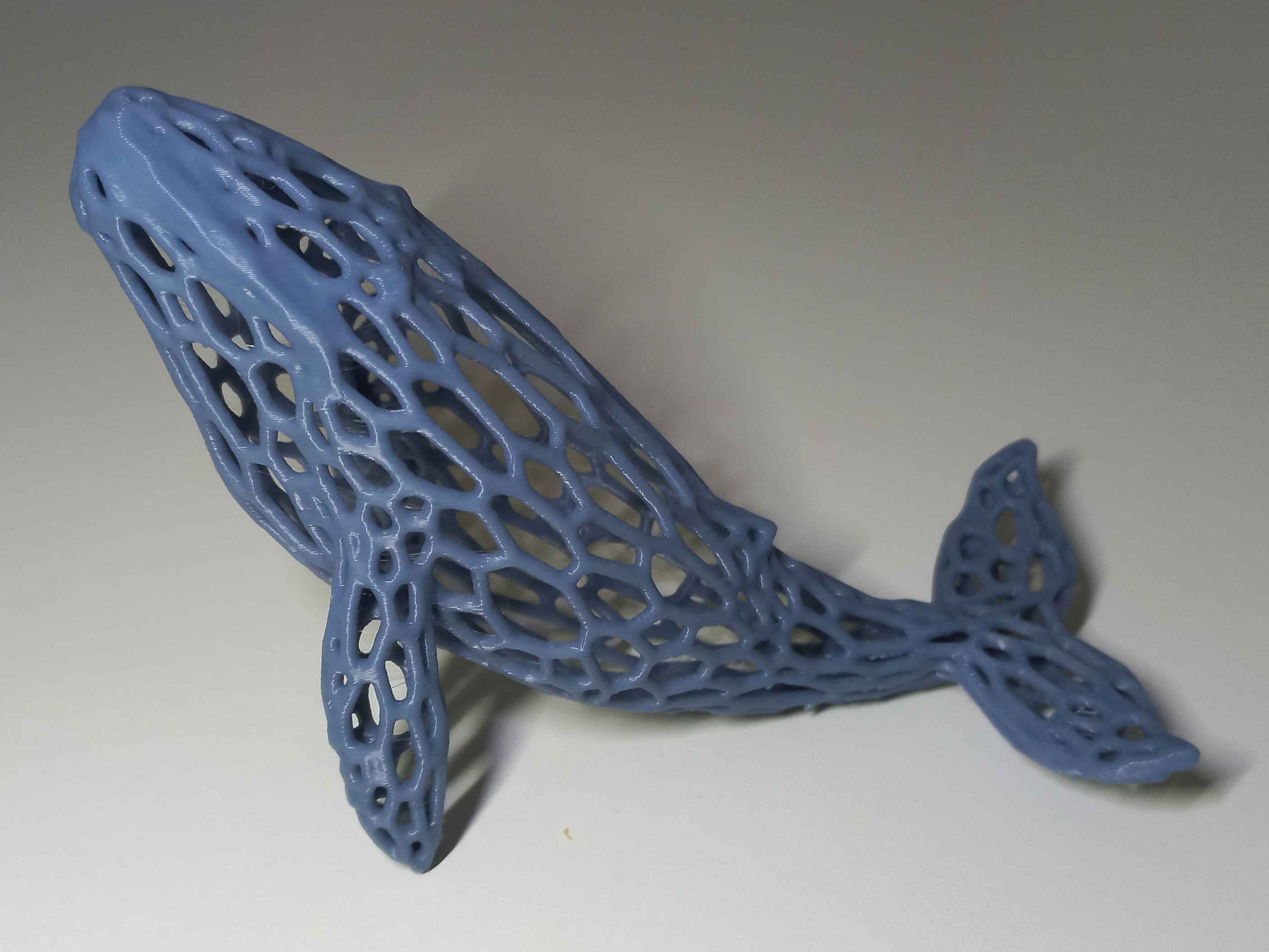 Whale Voronoi