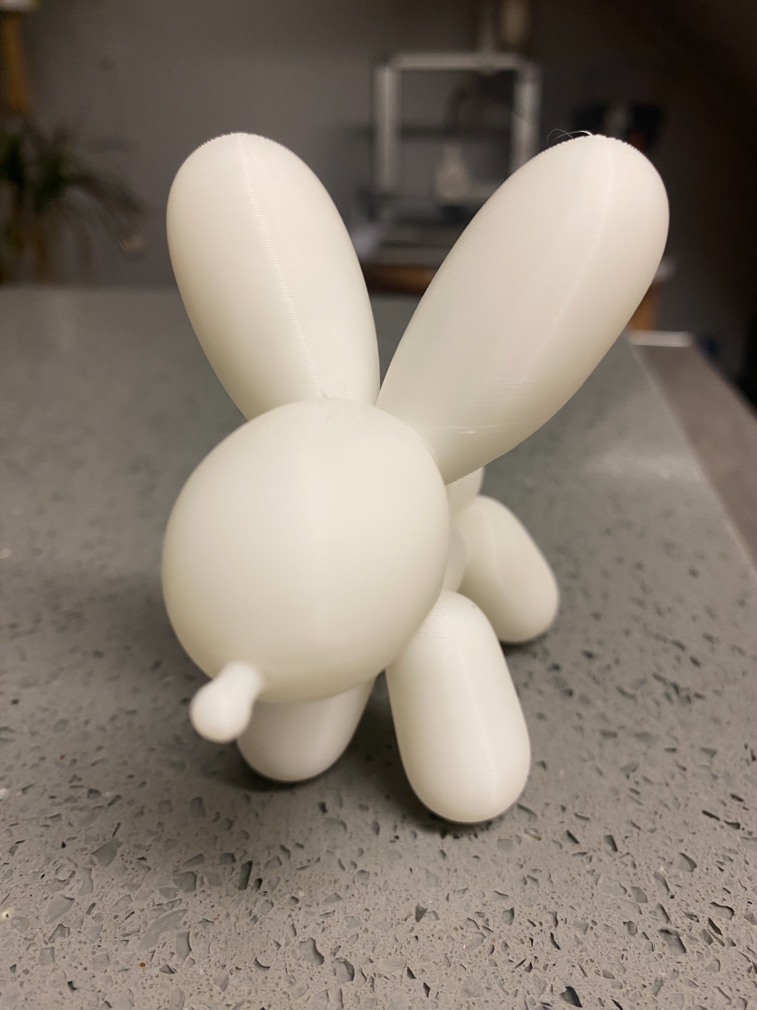 balloon dog