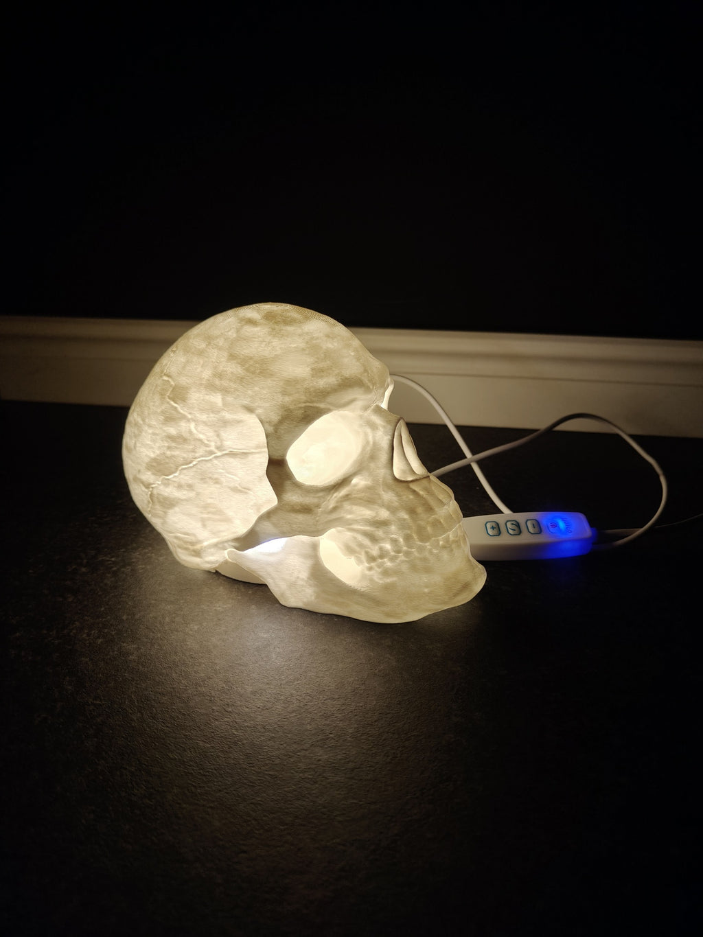 Skull Lamp (LED Lamp Kit-001)