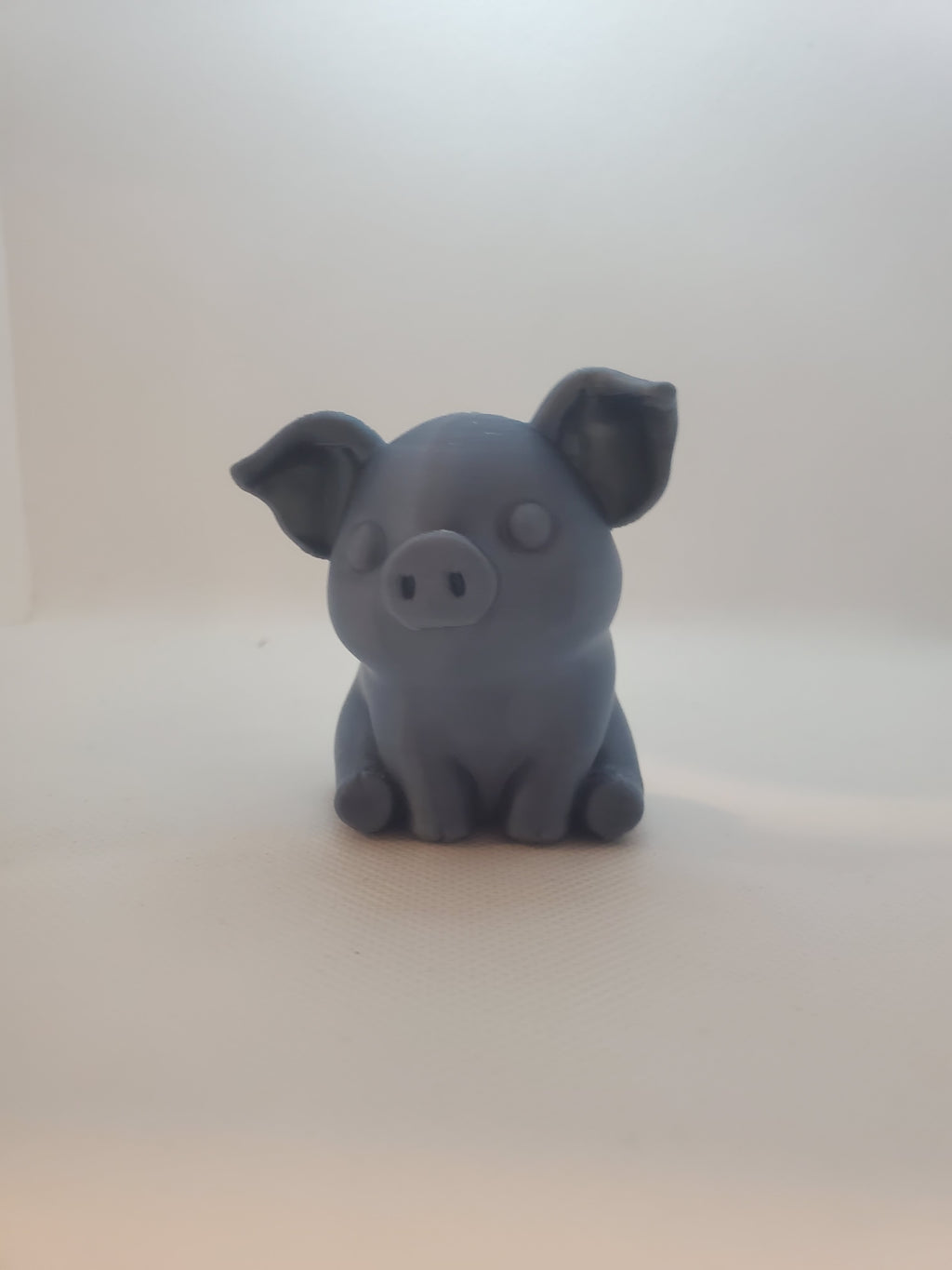Cute Pig