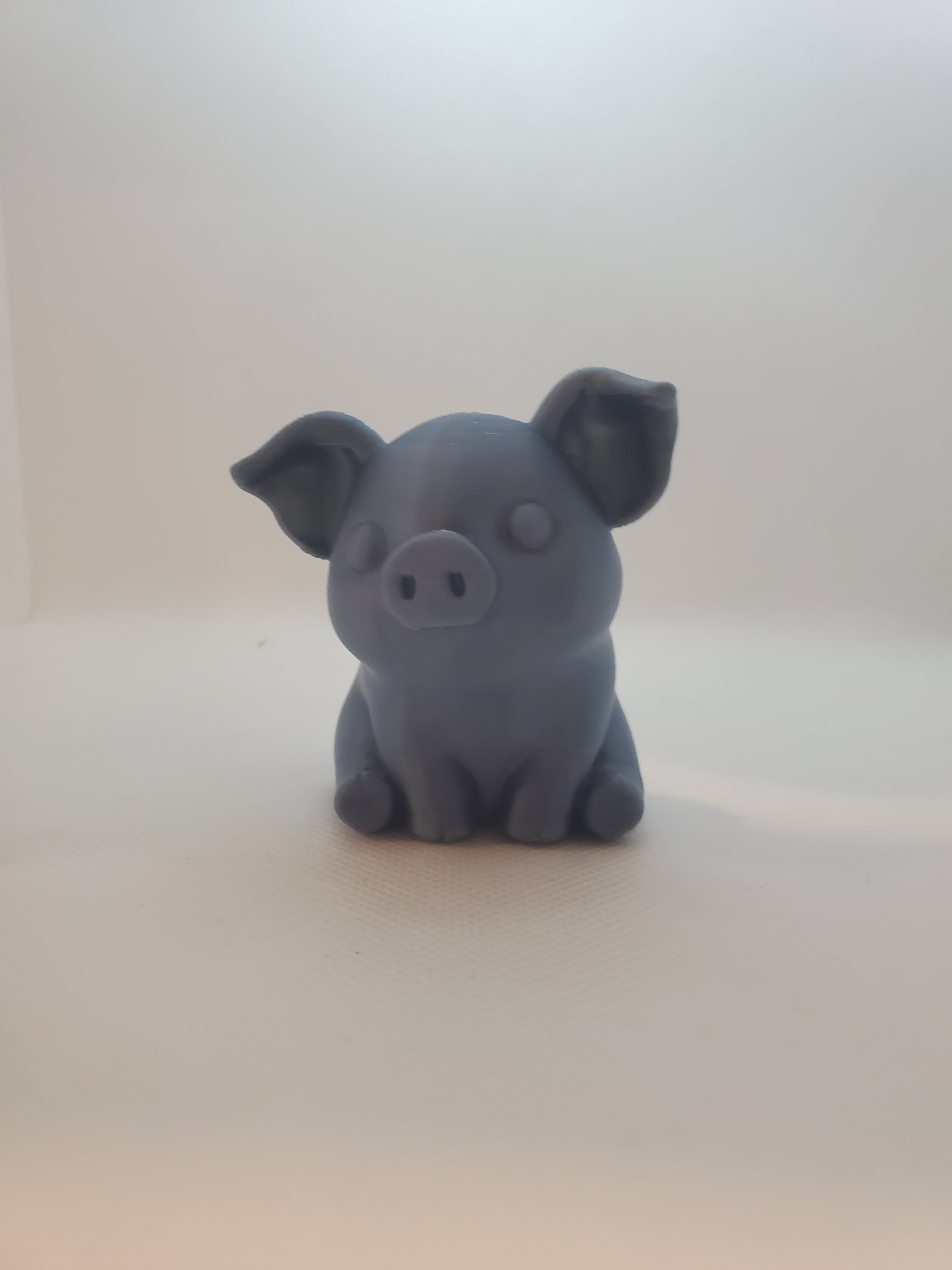 Cute Pig