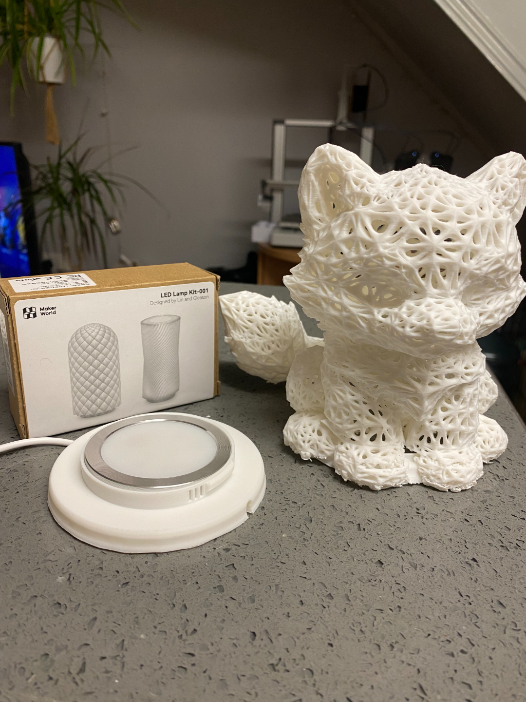 fox LED lamp kit-001