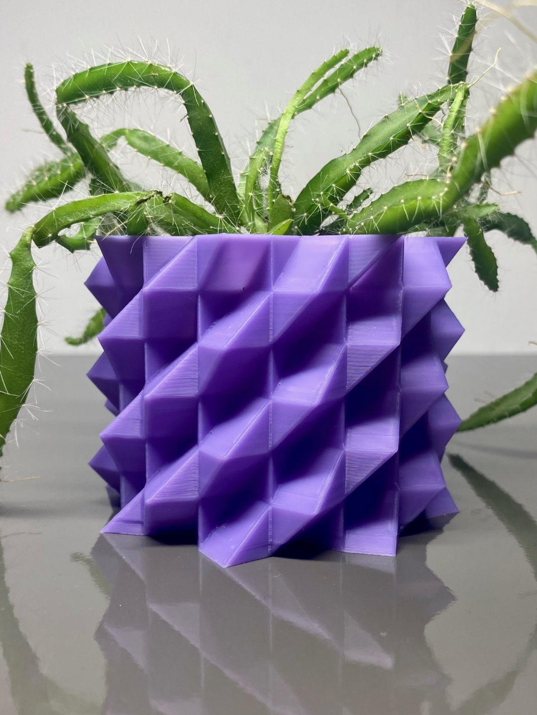 Crystal Plant Pot