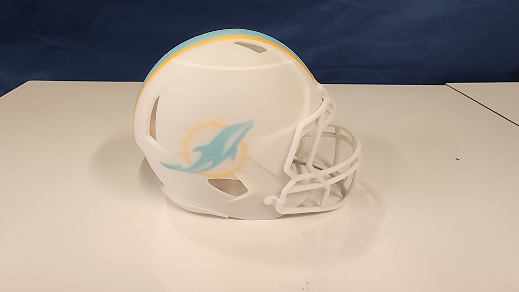 Dolphins Helmet