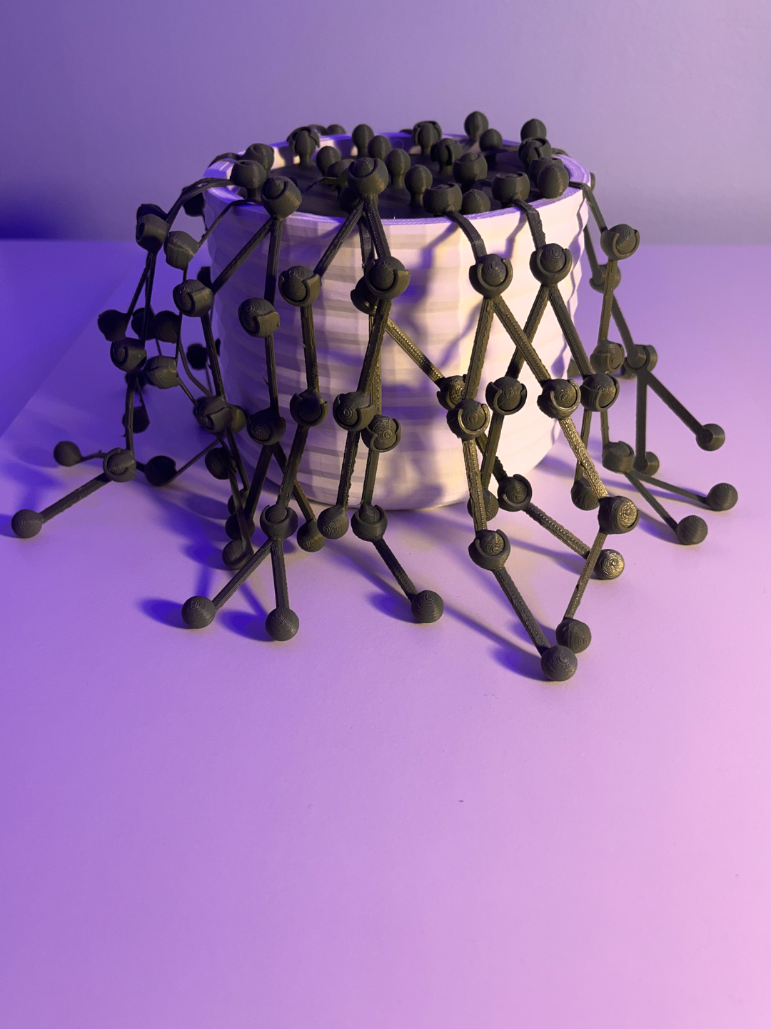 String of pearls plant