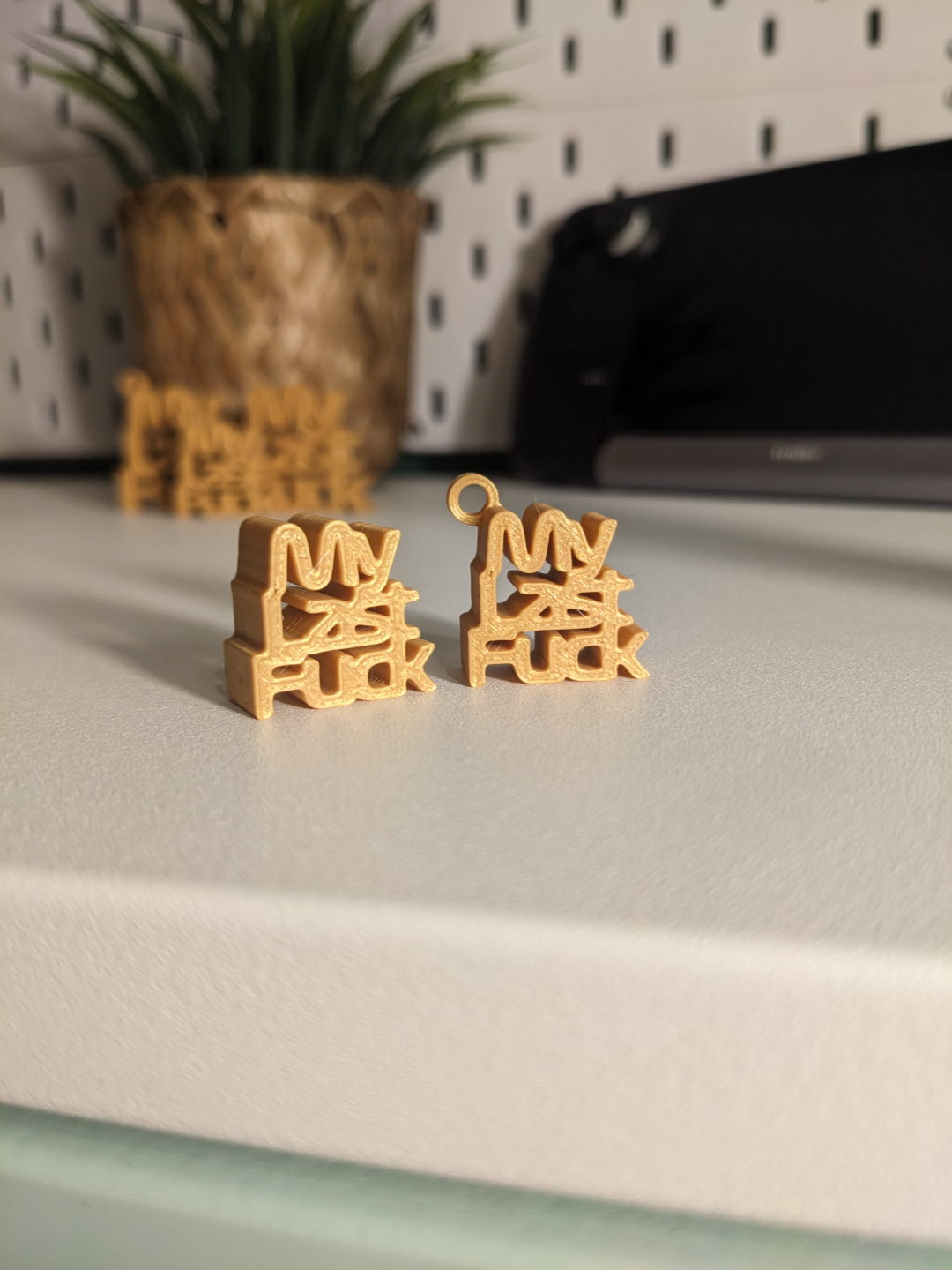 My Last Fuck keyring.