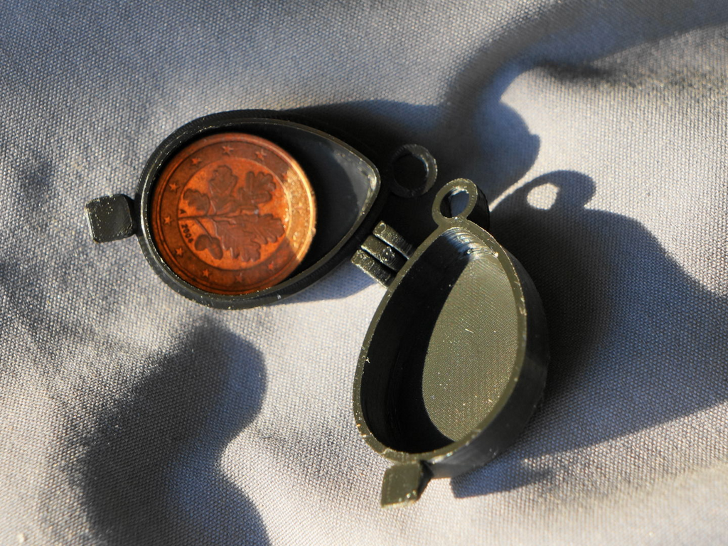 Small egg shaped pendant with pip hinge