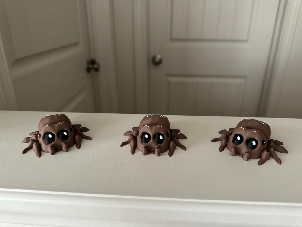 Lucas the spider Multicolor