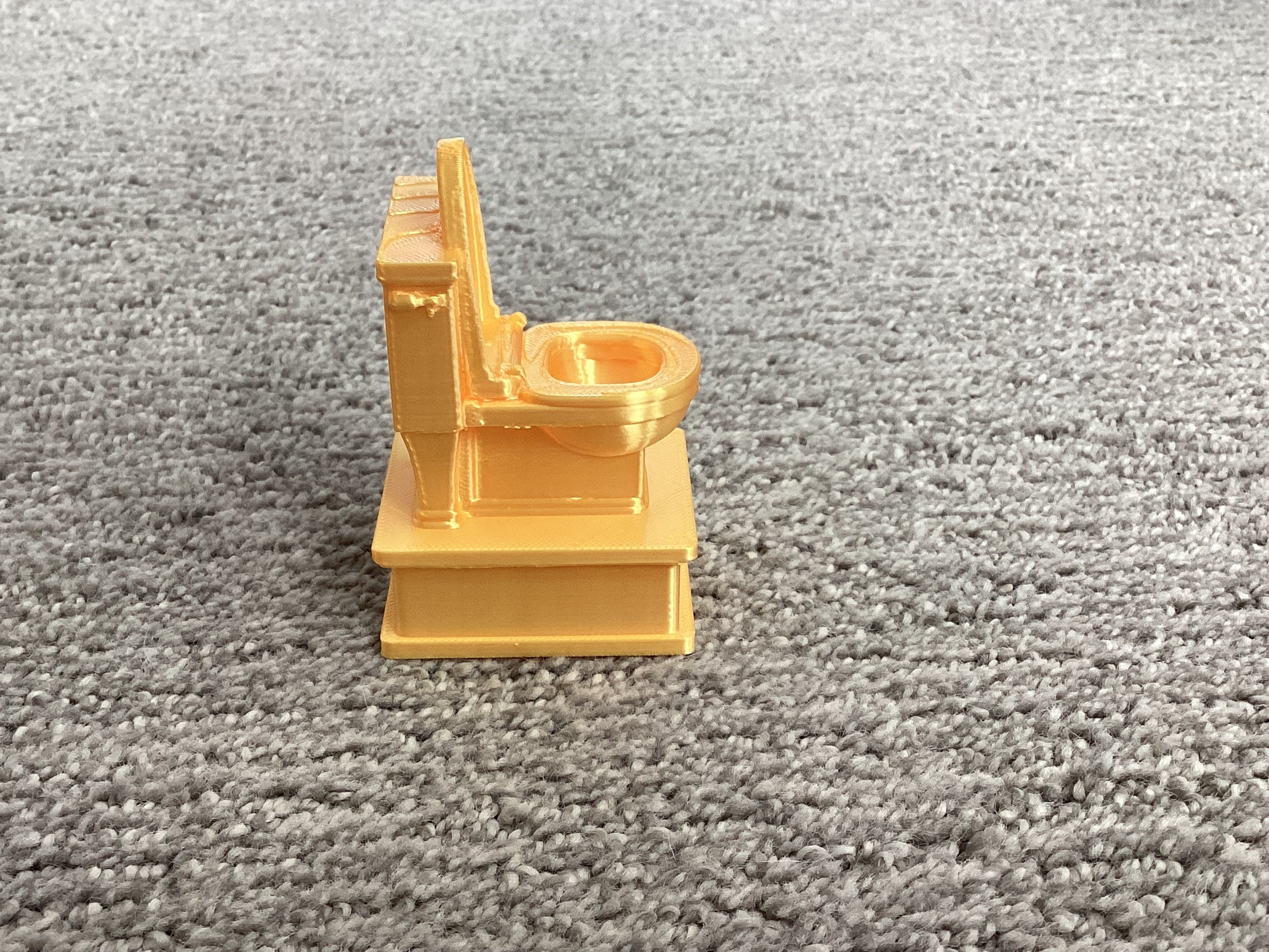 Toilet Trophy