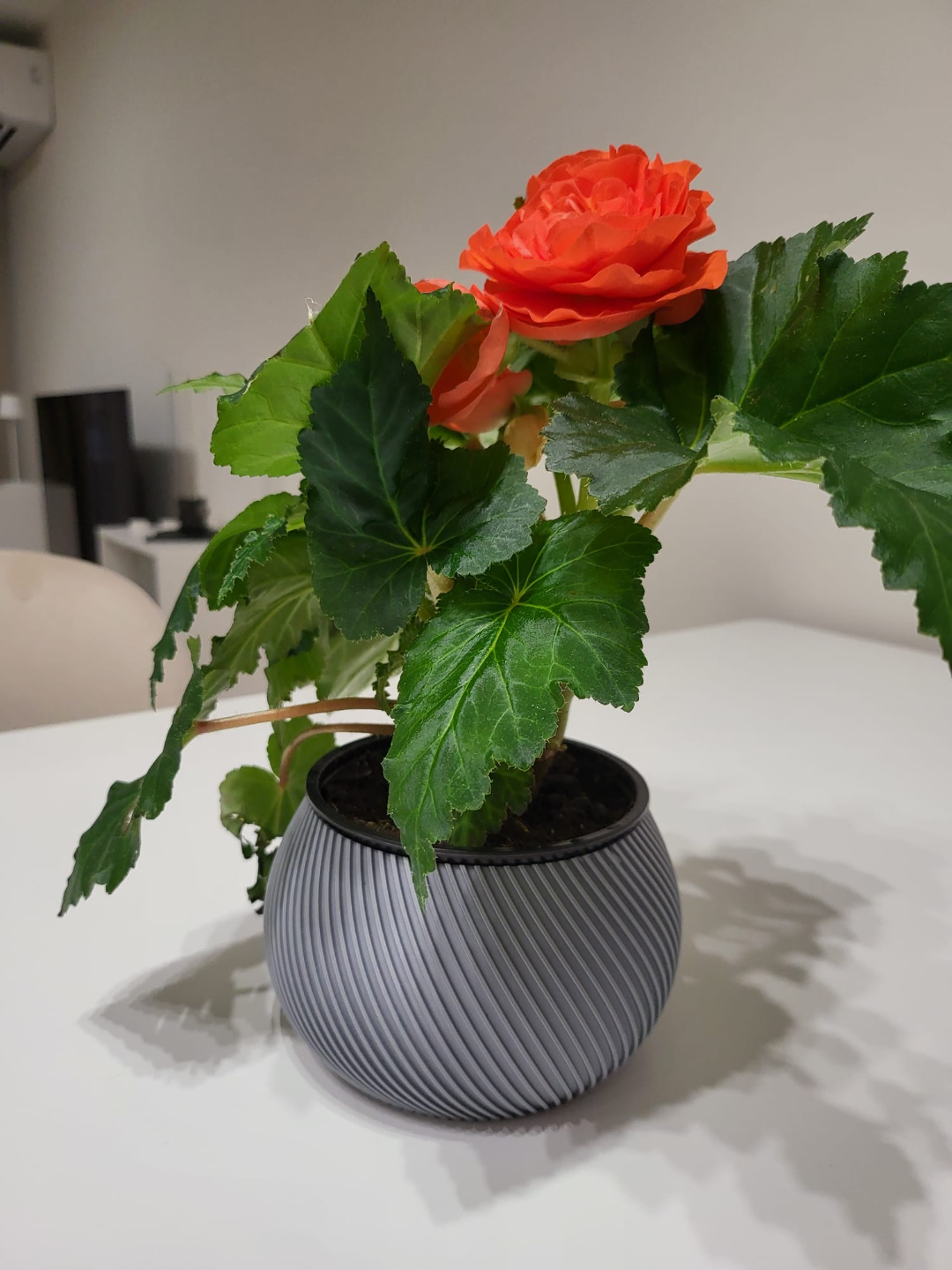 Short Wide Vase