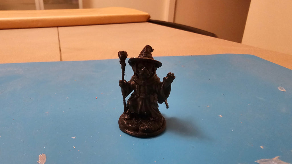 Labrador wizard