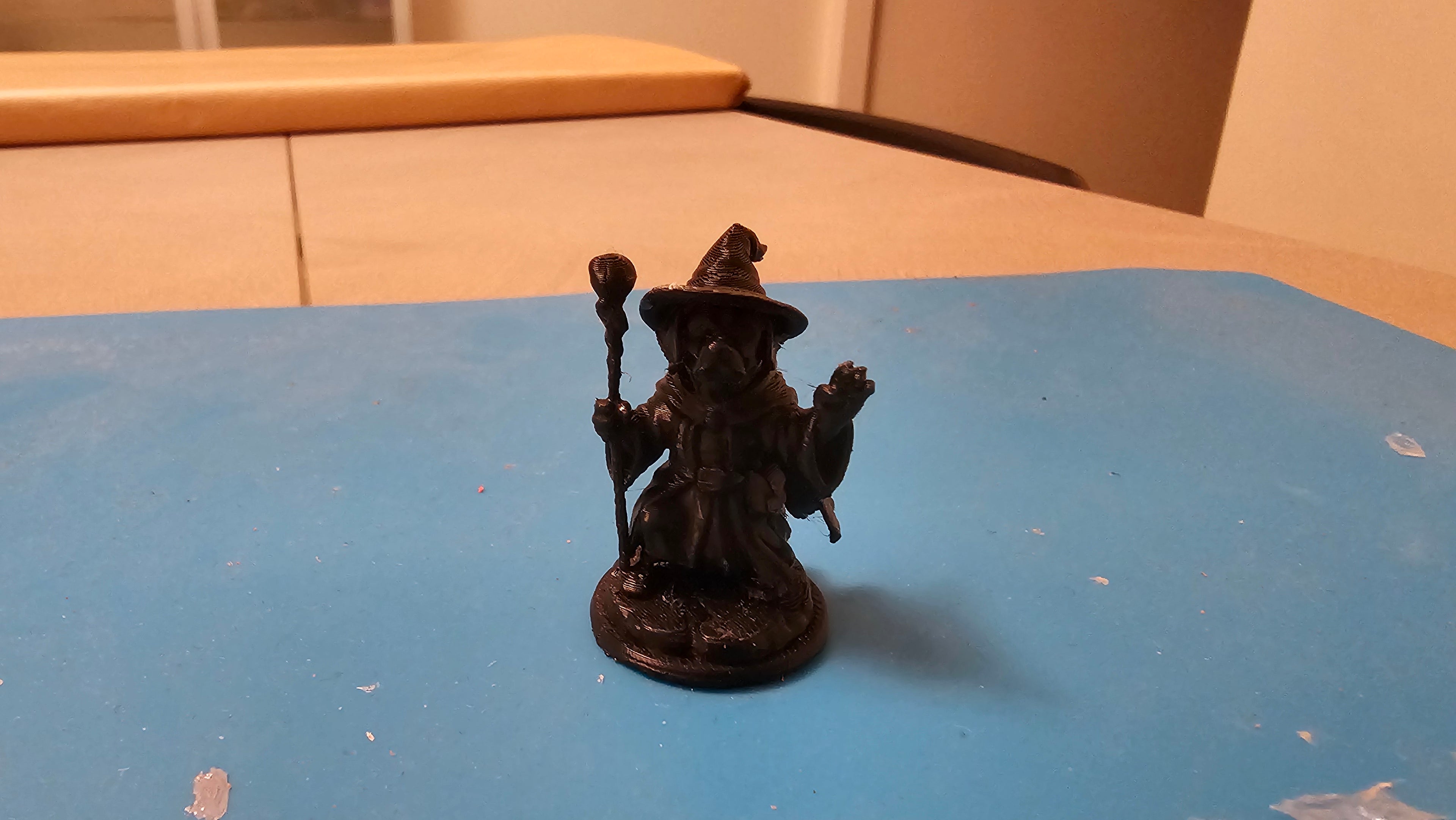 Labrador wizard