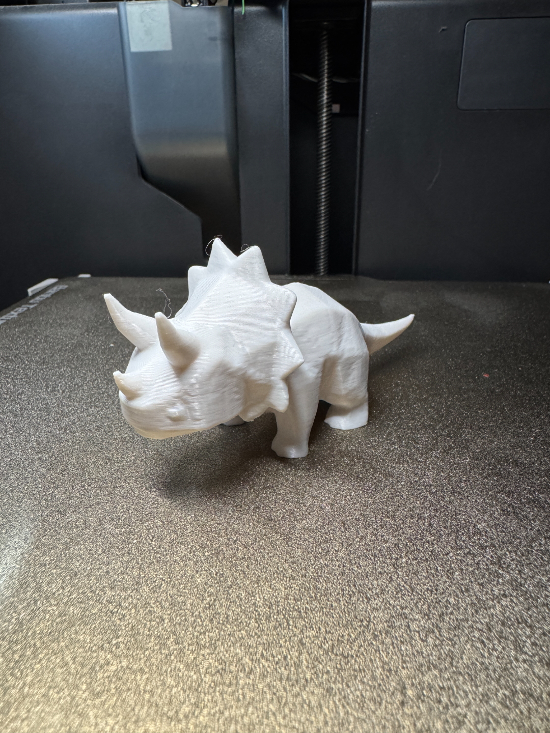 Dinosaur triceratops (free to sell!)