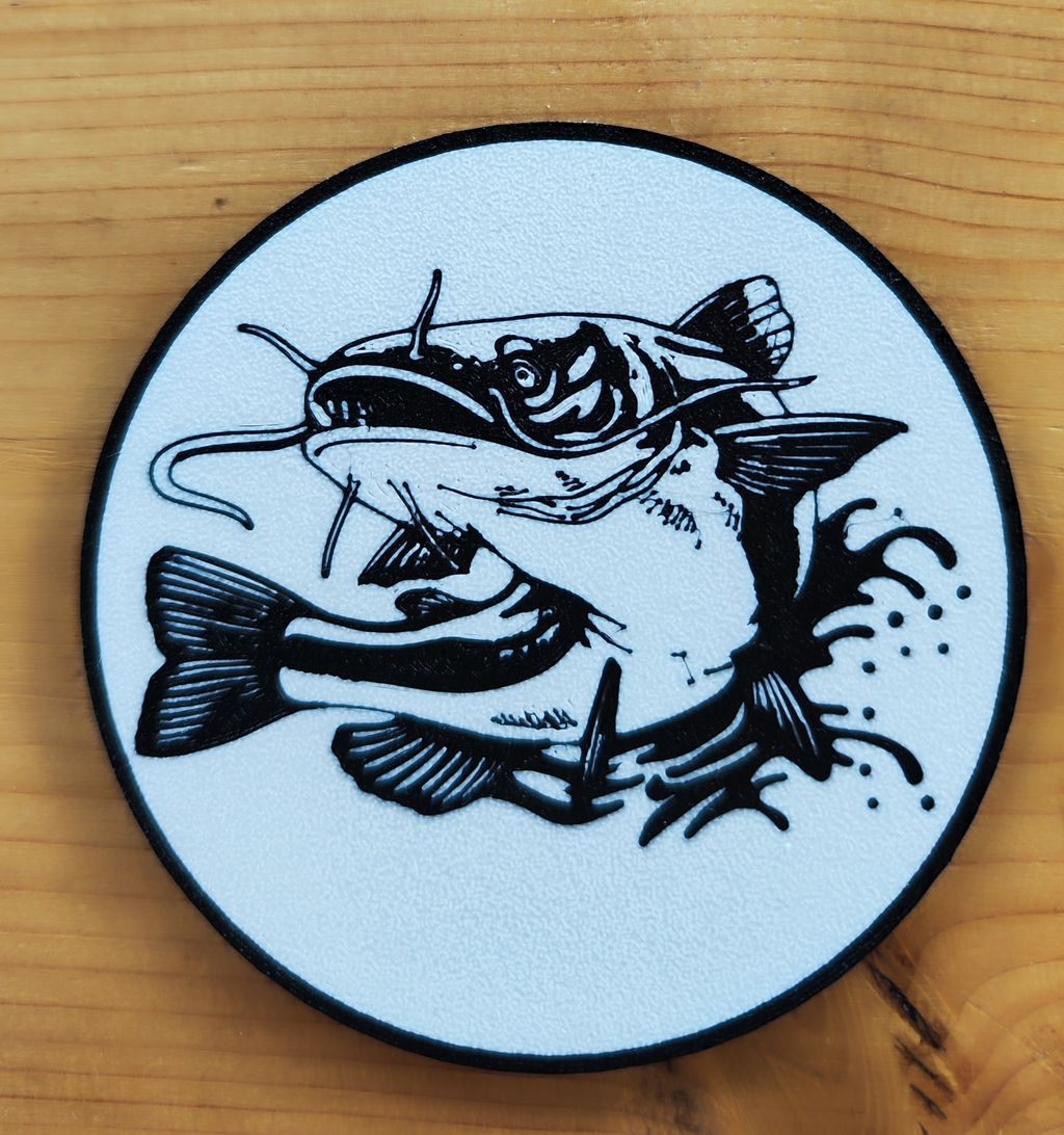 Coaster catfish