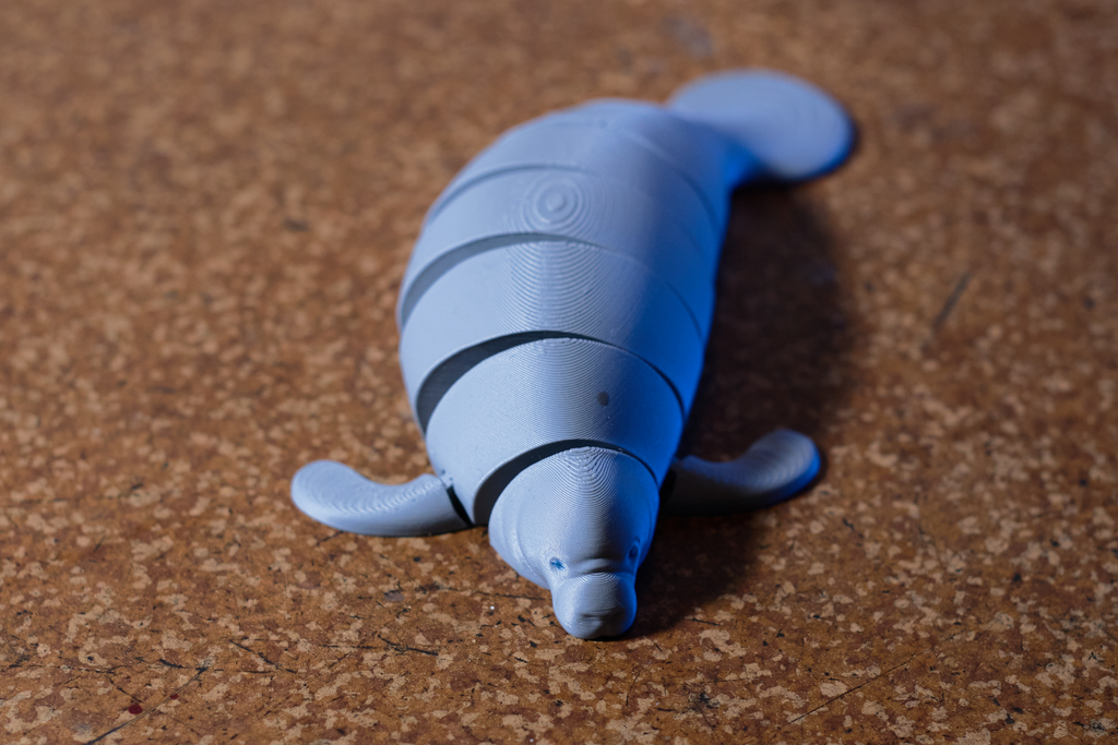 Articulated Manatee