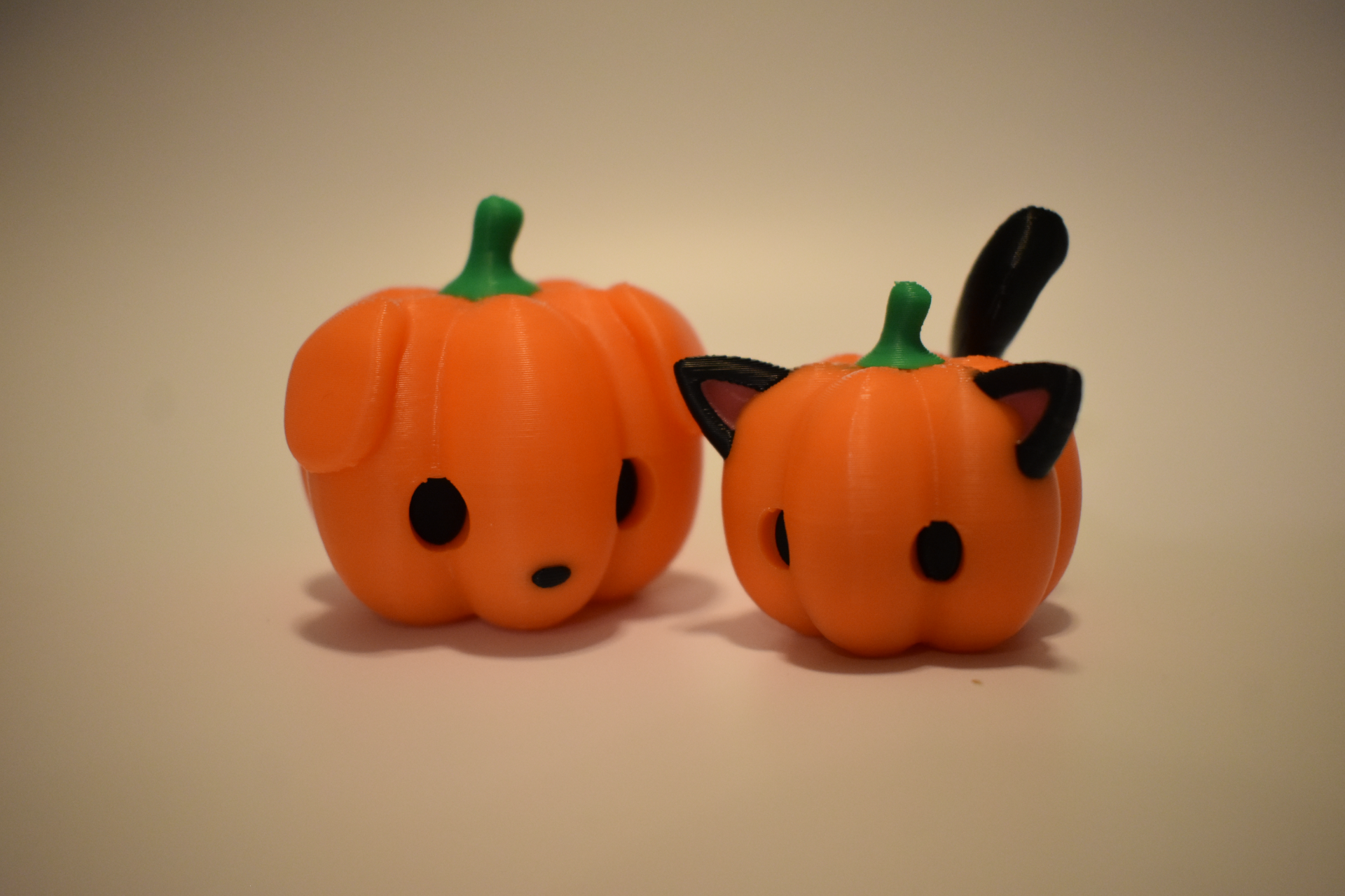 Pumpkitty and Pumpkin Pup! (Cute Pumpkin Cat & Dog)