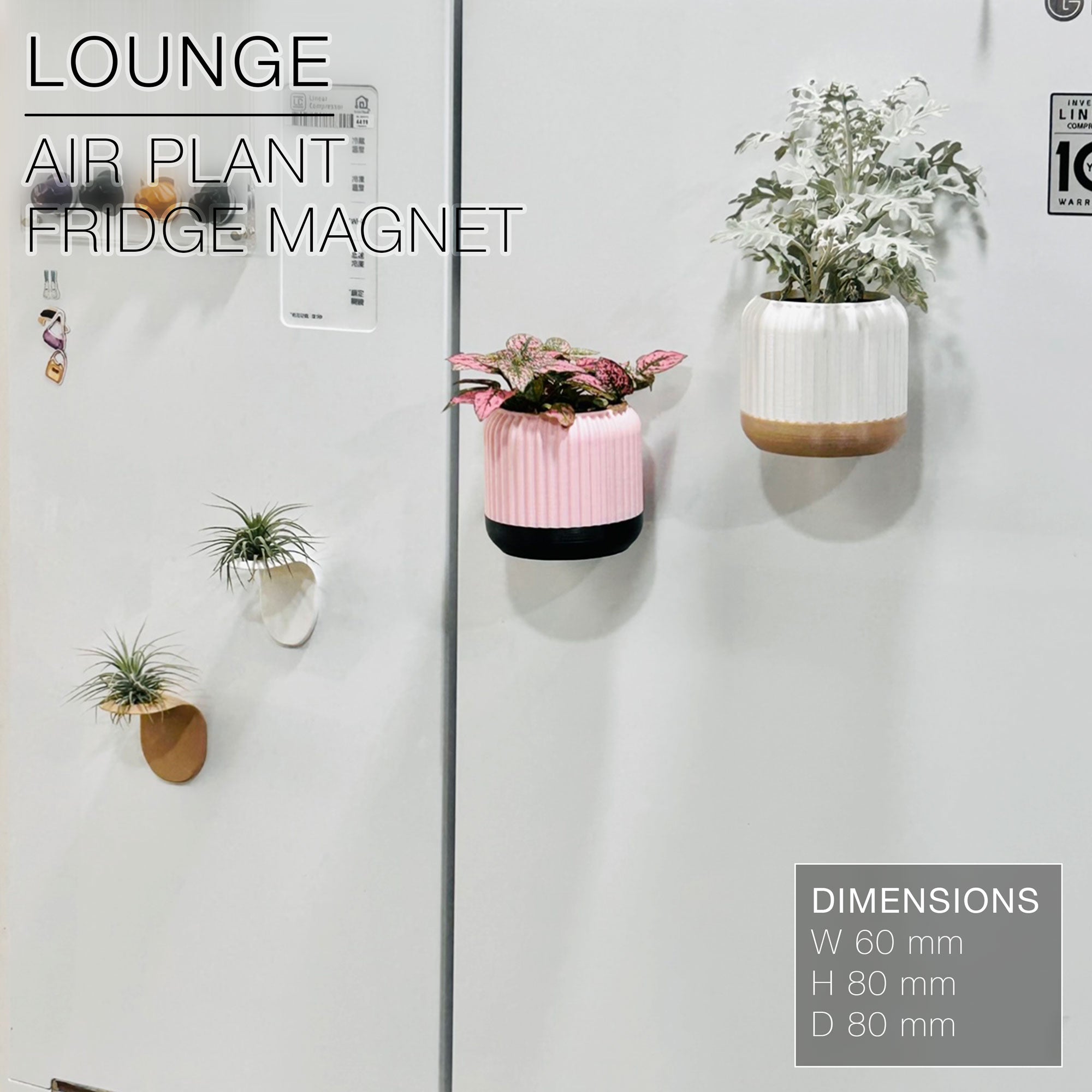 LOUNGE | Air Plant Holder Fridge Magnet