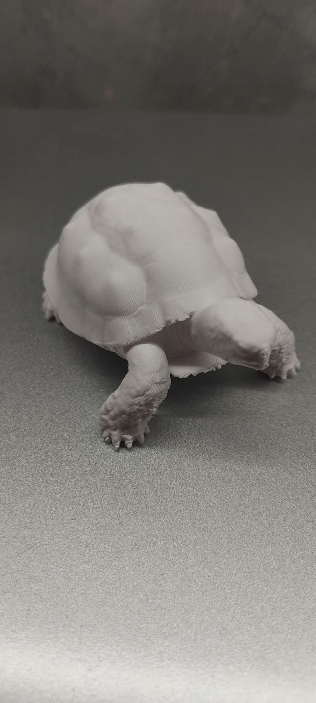 Turtle statue