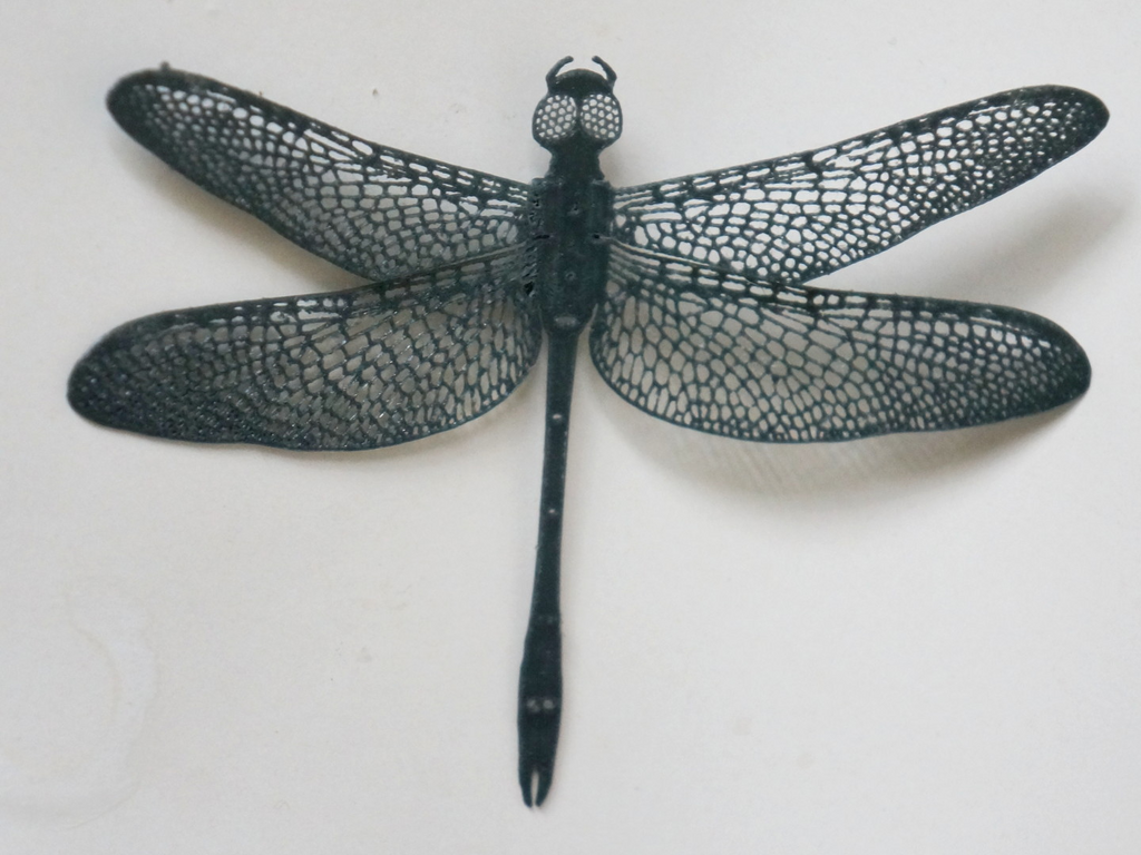 Dragonfly