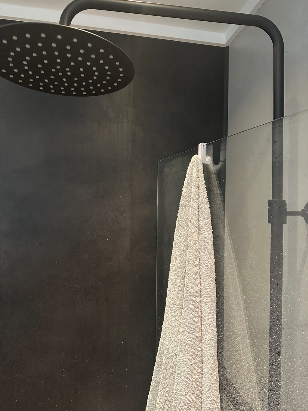 Double shower hook