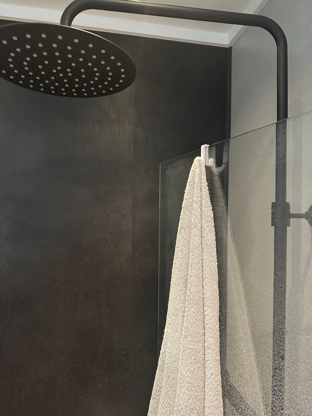 Double shower hook