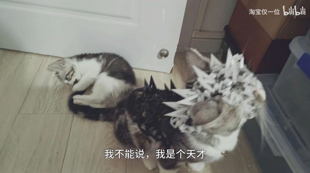 猫咪、小狗、宠物战斗铠甲、宠物衣服、 Pet Clothes