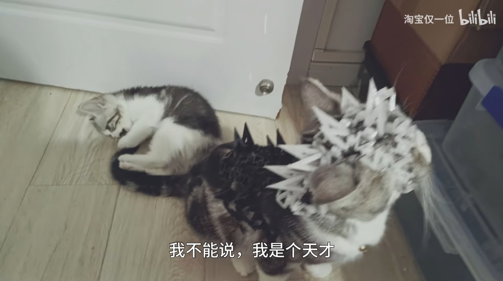 猫咪、小狗、宠物战斗铠甲、宠物衣服、 Pet Clothes