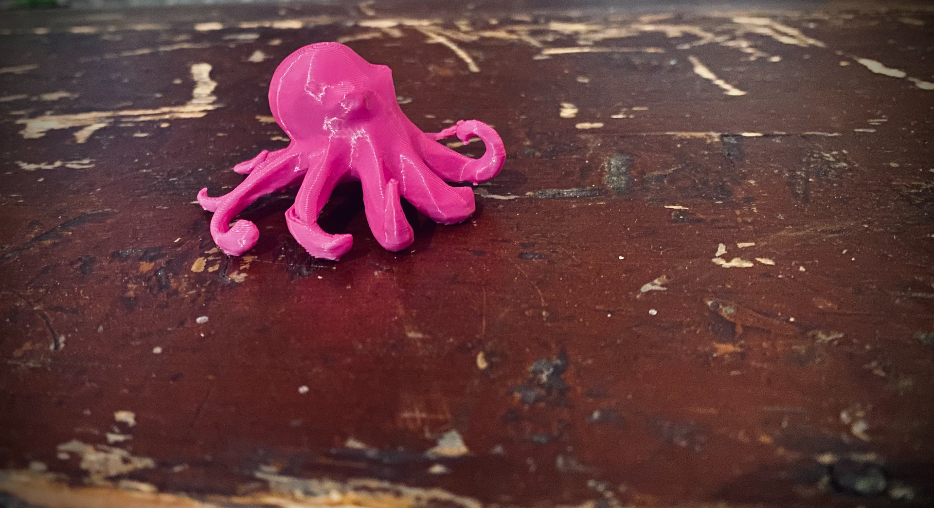 Little Octopus