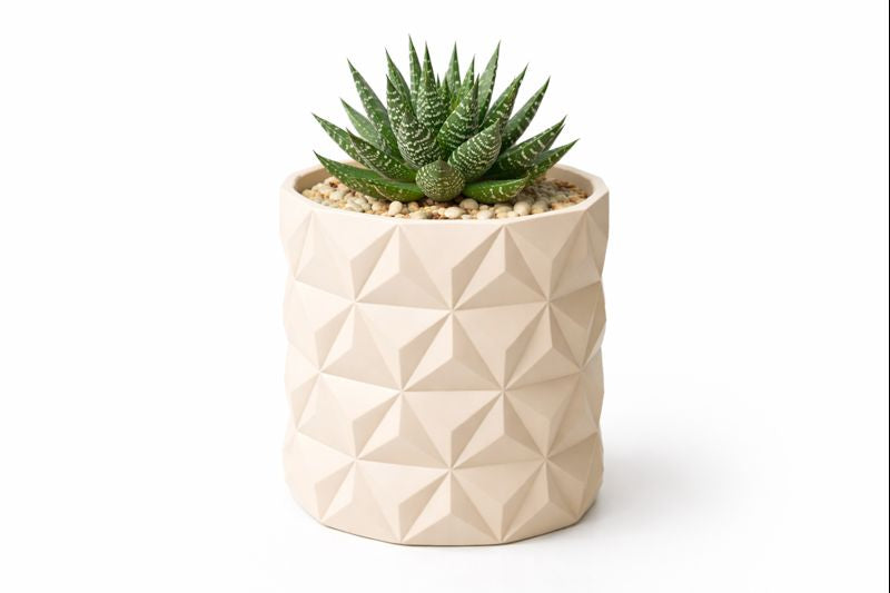 Maceta Triangulo