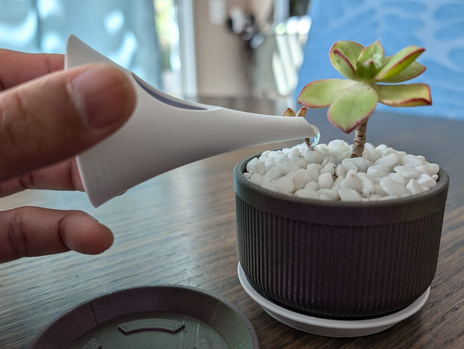 Mini Succulent Planter & Watering Can