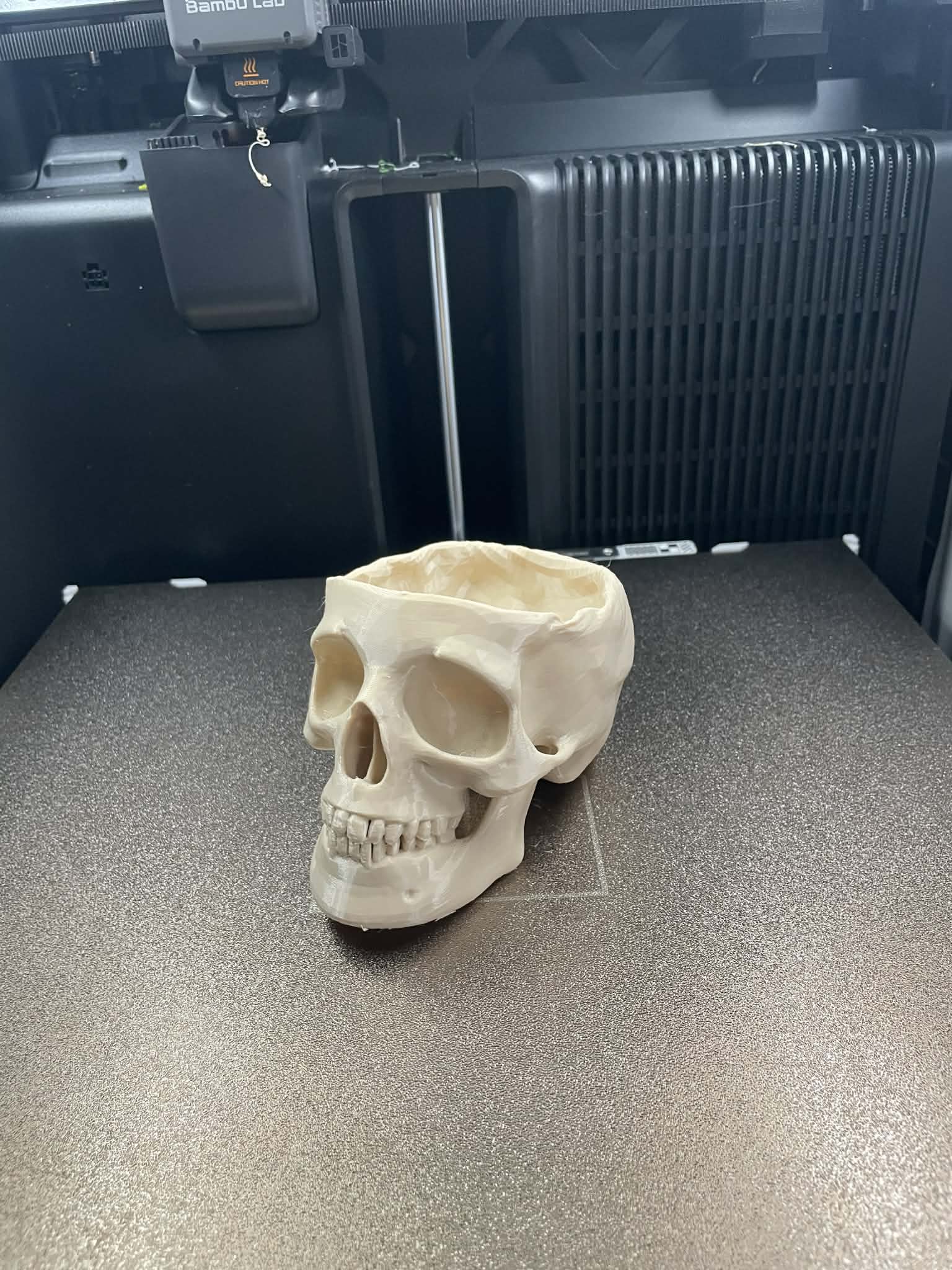 Skull Planter // Plant Pot