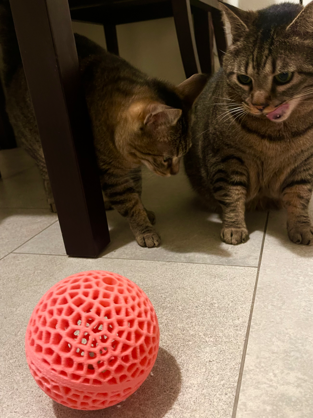 Cat snacks Voronoi ball
