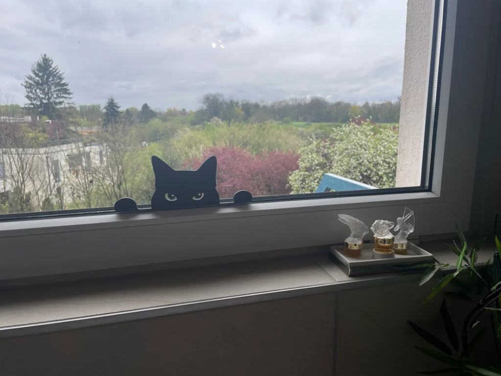 black Cat Silhouette (1 print)