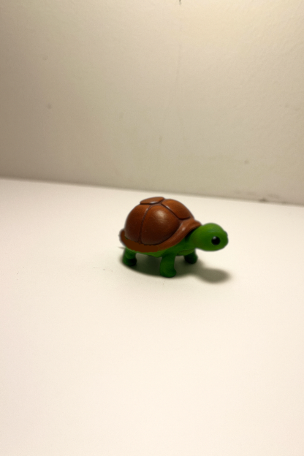 Cute turtle