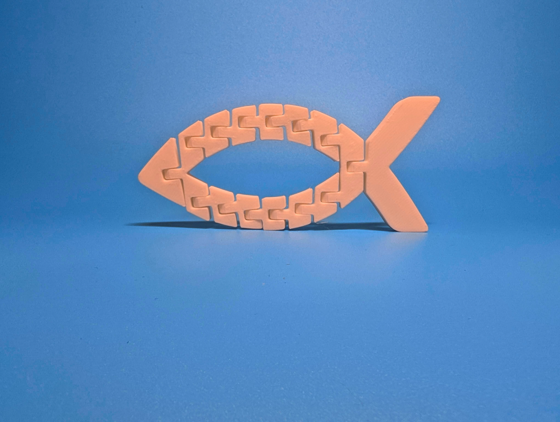 Flexi Ichthys Fidget and Keychain