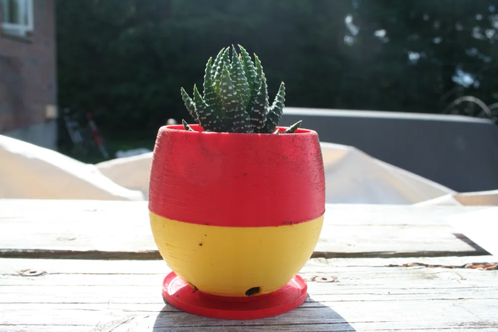 Simple Small Succulent Planter
