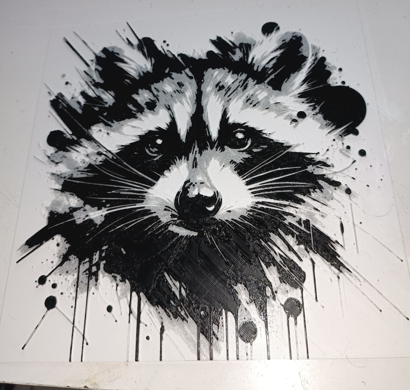 HueForge - Racoon
