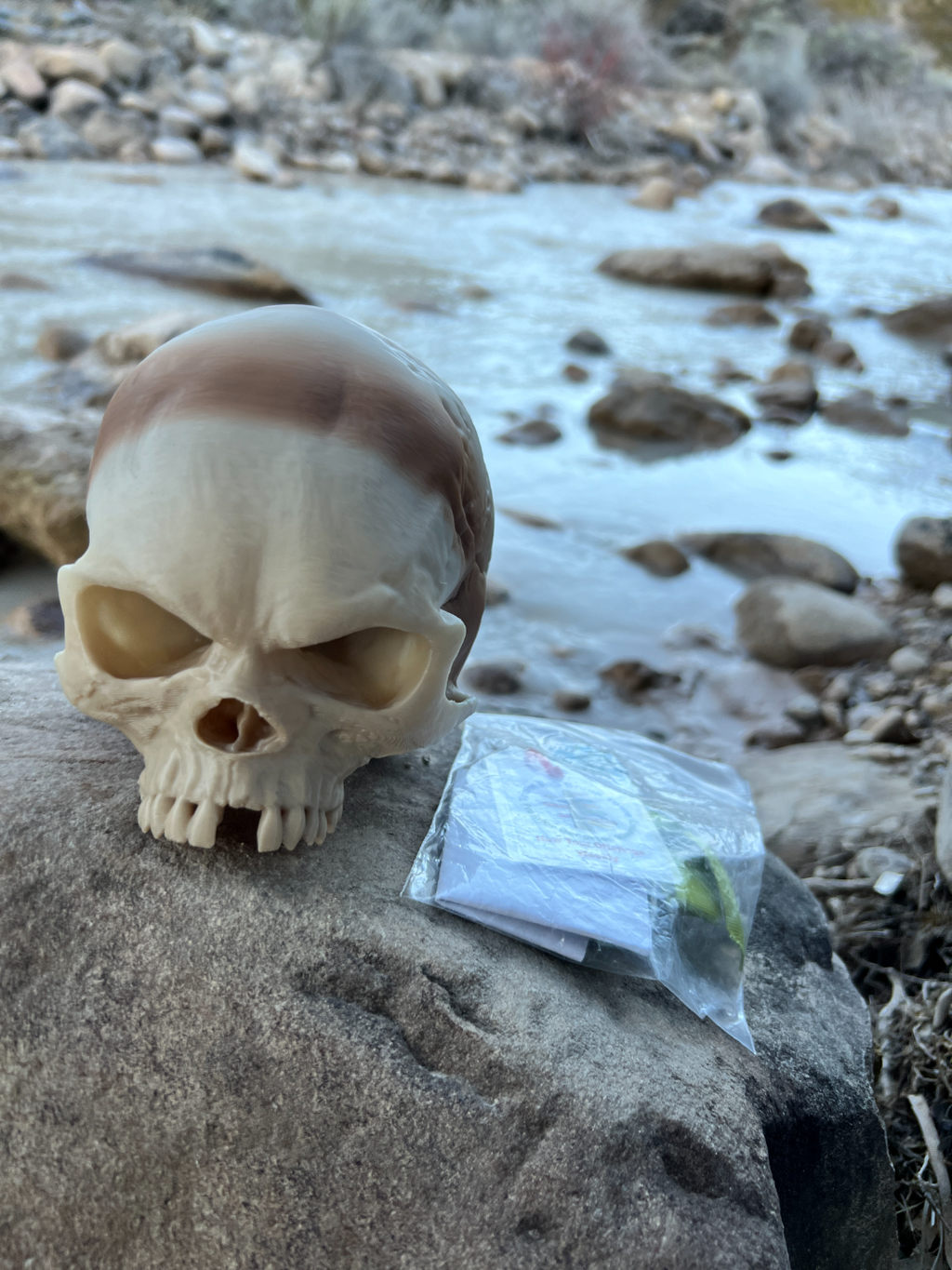 Geocache Fantasy Skull Puzzle Container