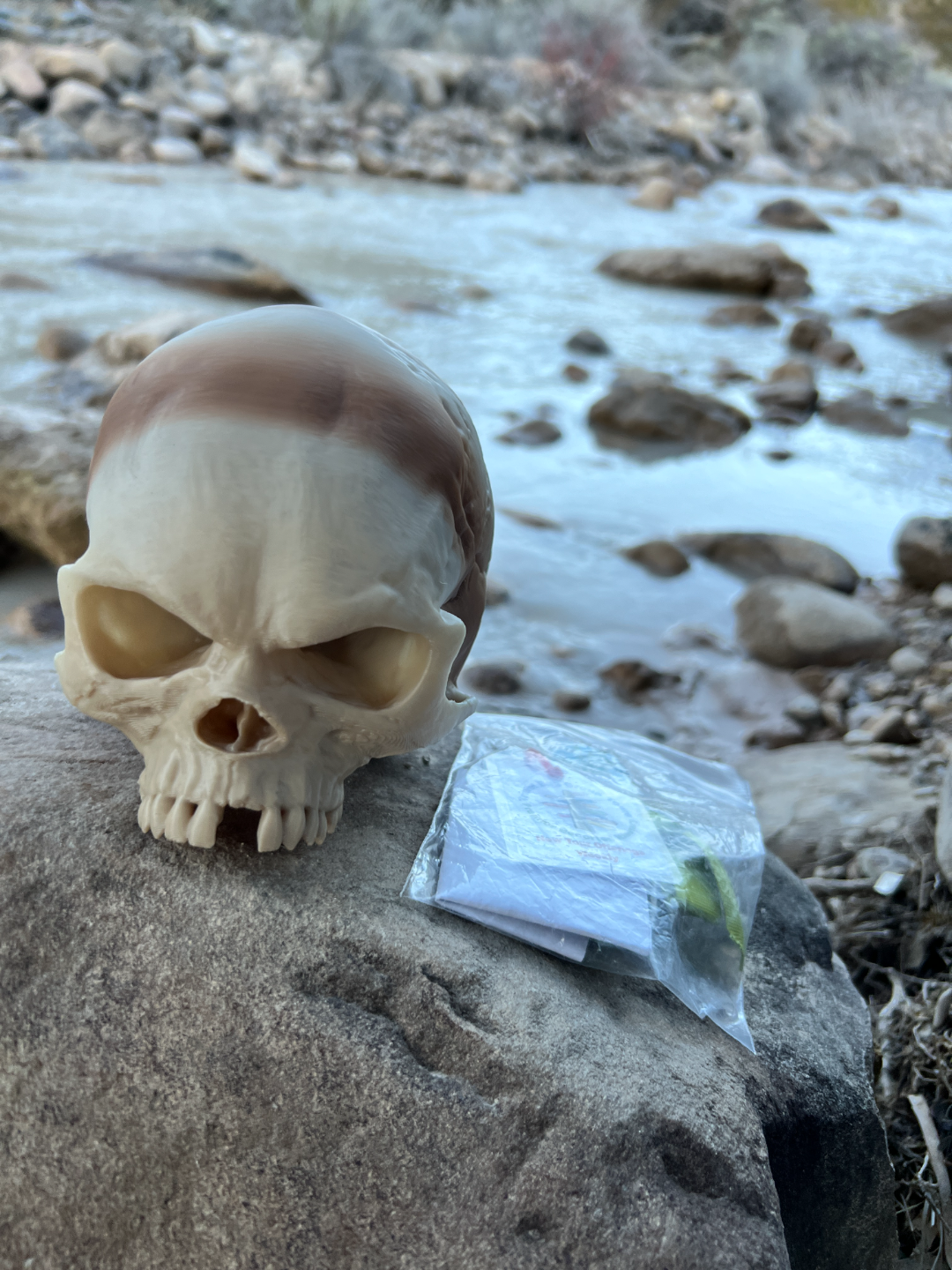 Geocache Fantasy Skull Puzzle Container